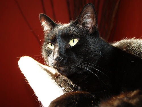 3323244384_49c54d8557