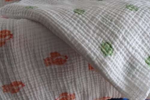 Aden and Anais blankets