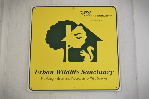 wildlifesanctuary