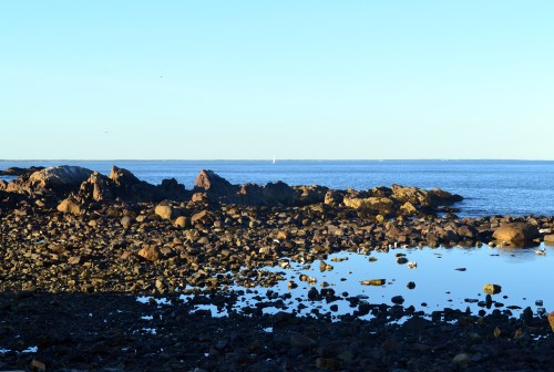 our view from the prettiest coffee shop on earth