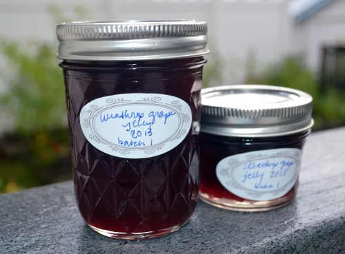 2013 grape jelly