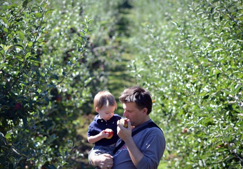 Taking Anderson apple picking with our good friends