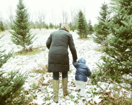 The 2013 Christmas Tree Hunt