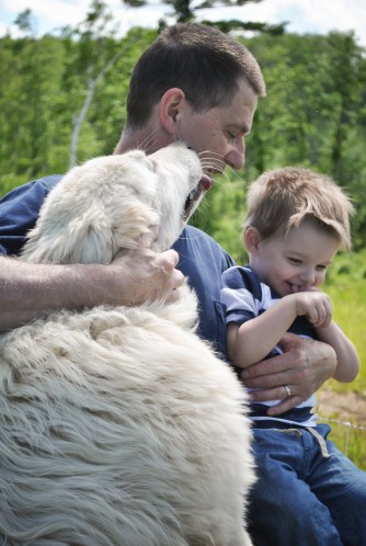 This sheepdog loved his flock and Anderson.